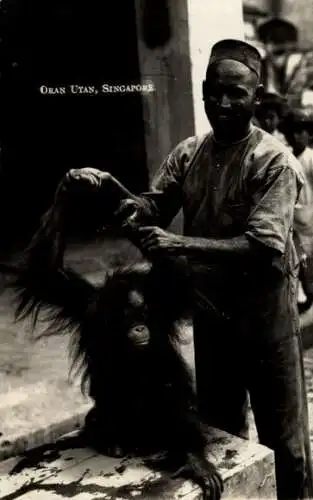 Foto Ak Singapur, Mann mit einem Orang Utan, Affe