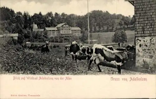 Ak Adelholzen Siegsdorf in Oberbayern, Blick von der Alpe auf Wildbad