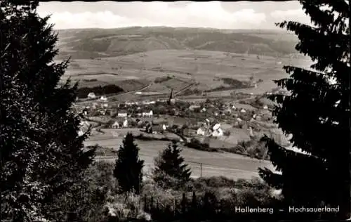 Ak Hallenberg im Sauerland, Panorama