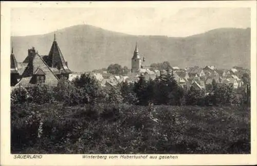 Ak Winterberg im Sauerland, Blick vom Hubertushof, Teilansicht
