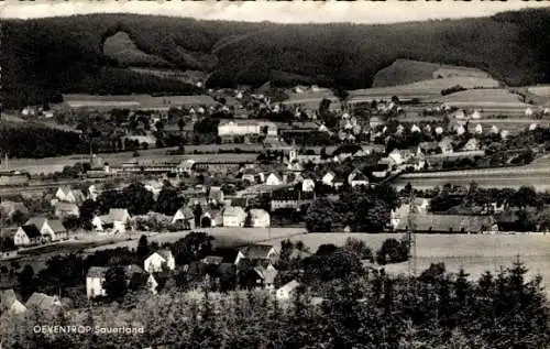 Ak Oeventrop Arnsberg im Sauerland, Panorama