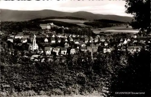 Ak Oeventrop Arnsberg im Sauerland, Panorama