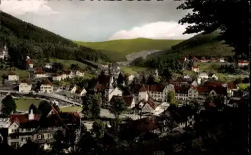 Ak Bad Herrenalb im Schwarzwald, Blick vom Marienweg, Gaistal, Panorama