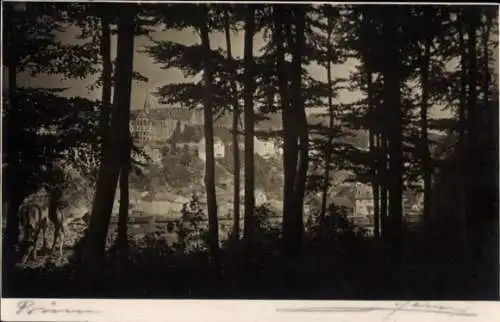 Ak Prüm in der Eifel, Teilansicht