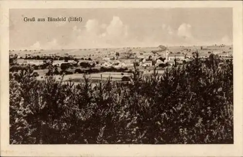 Ak Binsfeld in der Eifel, Gesamtansicht