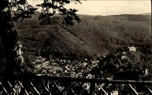 Ak Schwarzburg in Thüringen, Blick vom Trippstein