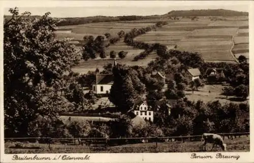 Ak Breitenbrunn Lützelbach im Odenwald Hessen, Pension Breunig, Kühe, Panorama