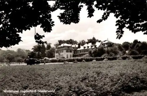 Ak Niederwald Kirchhain in Hessen, Waldhotel Jagdschloss