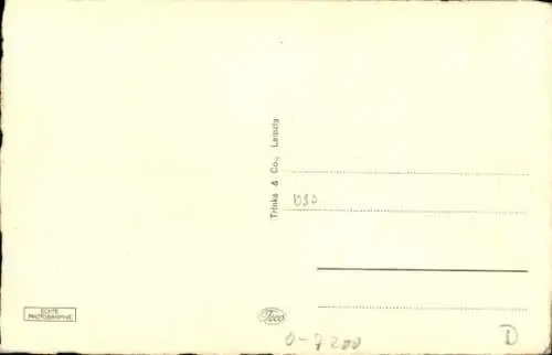 Ak Borna in Sachsen, Realgymnasium