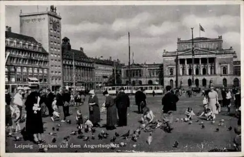 Ak Leipzig in Sachsen, Augustusplatz, Tauben, Straßenbahn