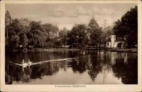 Ak Františkovy Lázně Franzensbad Region Karlsbad, Stadtteich