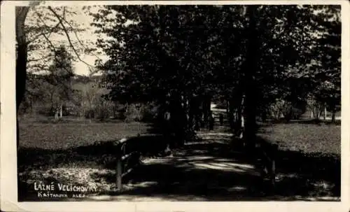 Ak Lázně Velichovky Welchow Region Königgrätz, Allee