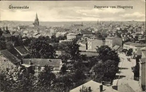 Ak Eberswalde, Panorama vom Pfingstberg