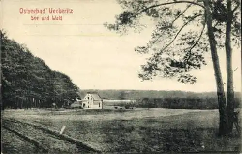 Ak Ostseebad Ückeritz auf Usedom, See und Wald