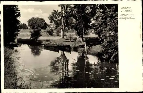 Ak Mirow Mecklenburg, Motiv am Wallgraben, Teich