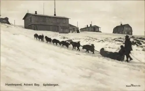 Ak Spitzbergen Norwegen, Hundespand, Advent Bay