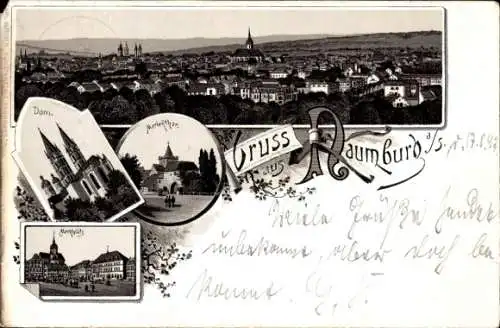 Litho Naumburg an der Saale, Marientor, Dom, Marktplatz, Totalansicht