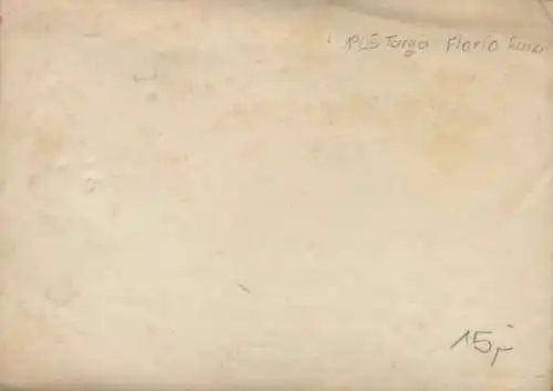 Foto Motorrennsport, Tribüne, Rennwagen, Zuschauer