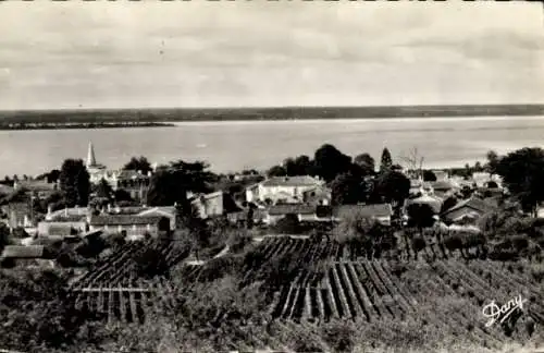 Ak Plassac Gironde, Gesamtansicht, La Gironde, Cote du Medoc