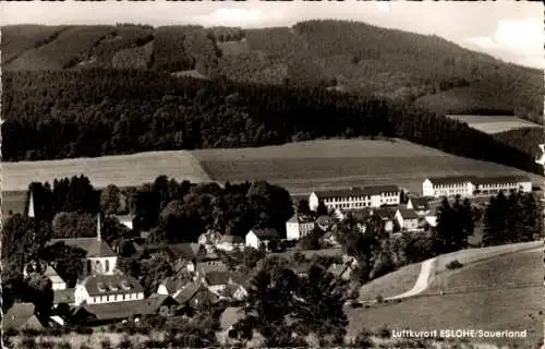 Ak Eslohe im Sauerland, Panorama