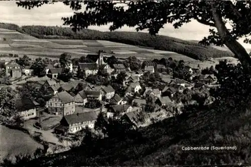 Ak Cobbenrode Eslohe Sauerland, Gesamtansicht, Gasthof Clemens Vogelheim