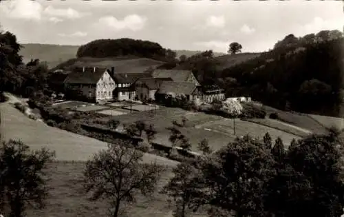 Ak Oerlinghauser Heide Arnsberg im Sauerland Westfalen, Pension A. Fasselt, Gut Dreisborn