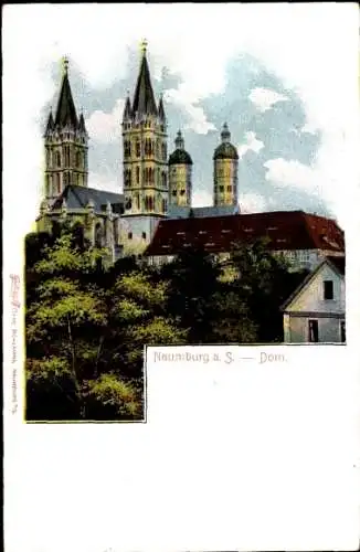 Ak Naumburg an der Saale, Dom