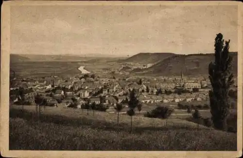 Ak Merzig an der Saar, Bilder aus dem Saartal, Nr. 8, Panorama