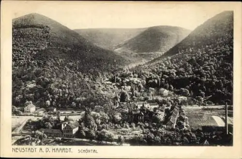 Ak Neustadt an der Haardt Neustadt an der Weinstraße, Schöntal, Panorama