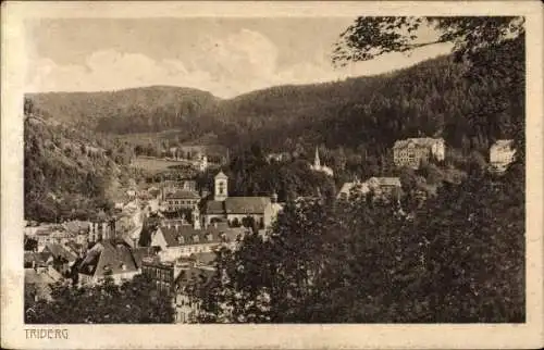 Ak Triberg im Schwarzwald, Blick auf den Ort und die Umgebung