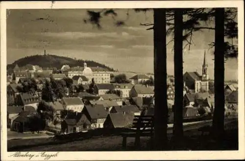 Ak Altenberg im Erzgebirge, Gesamtansicht