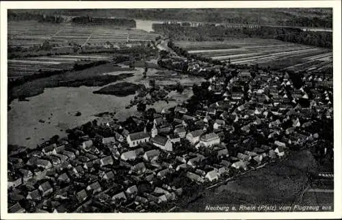 Ak Neuburg am Rhein Pfalz, Fliegeraufnahme