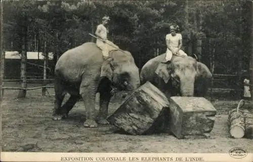 Ak Exposition Coloniale Les Elephants de l'Inde, Indische Elefanten