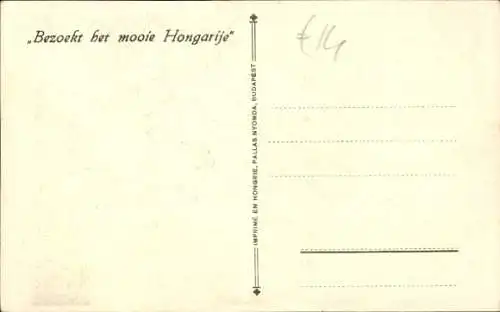 Künstler Ak Ungarn, Frau in Tracht, Schmetterling, Flaggen