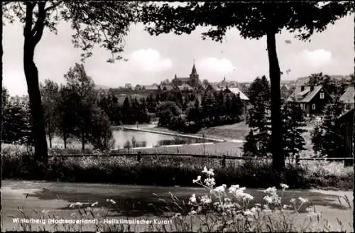 Ak Winterberg im Sauerland, Teilansicht