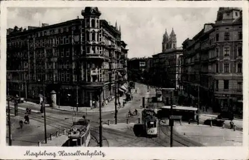 Ak Magdeburg an der Elbe, Hasselbachplatz, Straßenbahnen