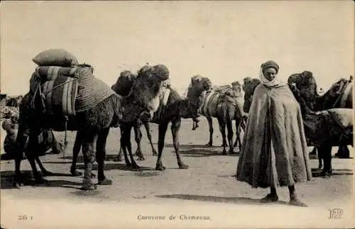 Ak Camel Caravan, Maghreb