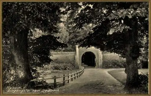 Ak Husum in Nordfriesland, Stadtpark, Eingangstor