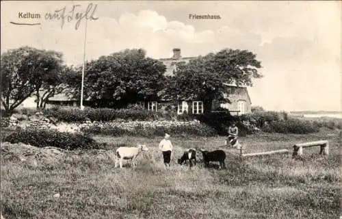 Ak Keitum Sylt Nordfriesland, Friesenhaus mit Umgebung