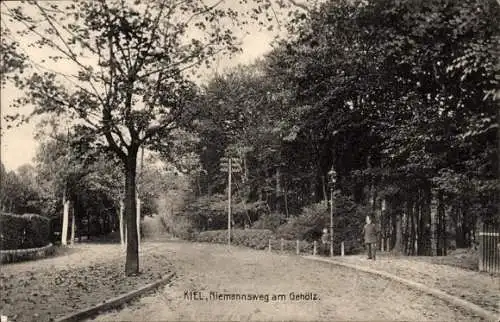 Ak Kiel, Niemannsweg am Gehölz