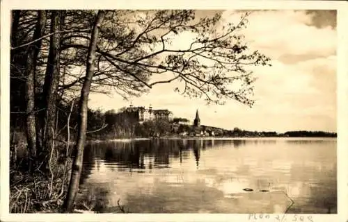 Foto Ak Plön am See Holstein, Ufer