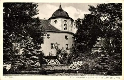 Ak Zittau in Sachsen, Stadtgärtnerei, Blumenuhr