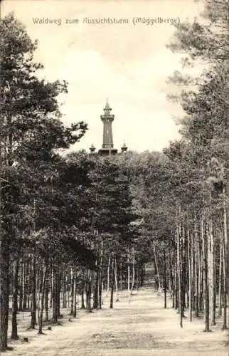 Ak Berlin Köpenick, Waldweg zum Aussichtsturm, Müggelberge, Bismarckwarte