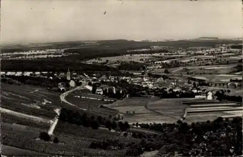 Ak Remich an der Mosel Luxemburg, Gesamtansicht