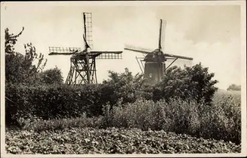 Ak Elspeet Gelderland, Molen, Windmühlen