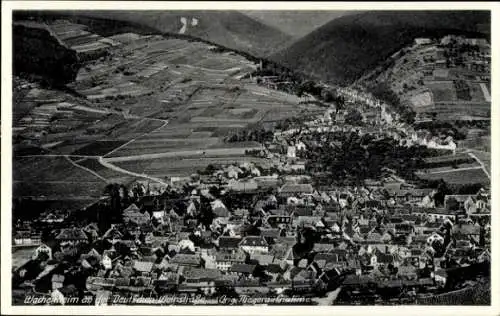 Ak Wachenheim Rheinland Pfalz, Fliegeraufnahme