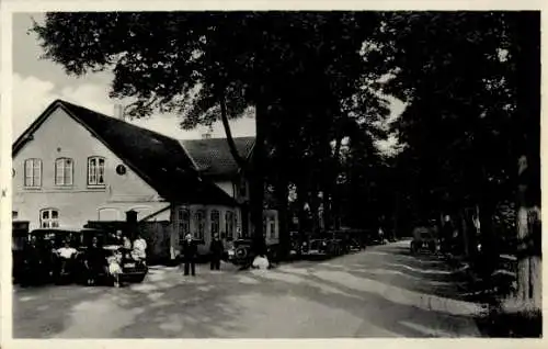 Ak Jersbek in Schleswig-Holstein, Gasthaus Fasanenhof, Autos