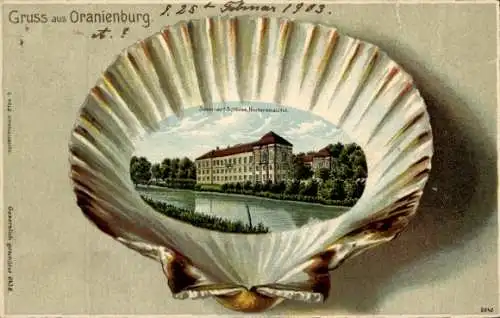 Muschel Litho Oranienburg in Brandenburg, Seminar, Schloss