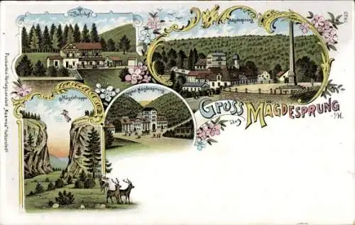 Litho Mägdesprung Harzgerode am Harz, Stadtansichten, Bahnhof, Mägdetrappe, Hotel