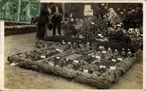 Ak Gartenausstellung, Blumen, Beete